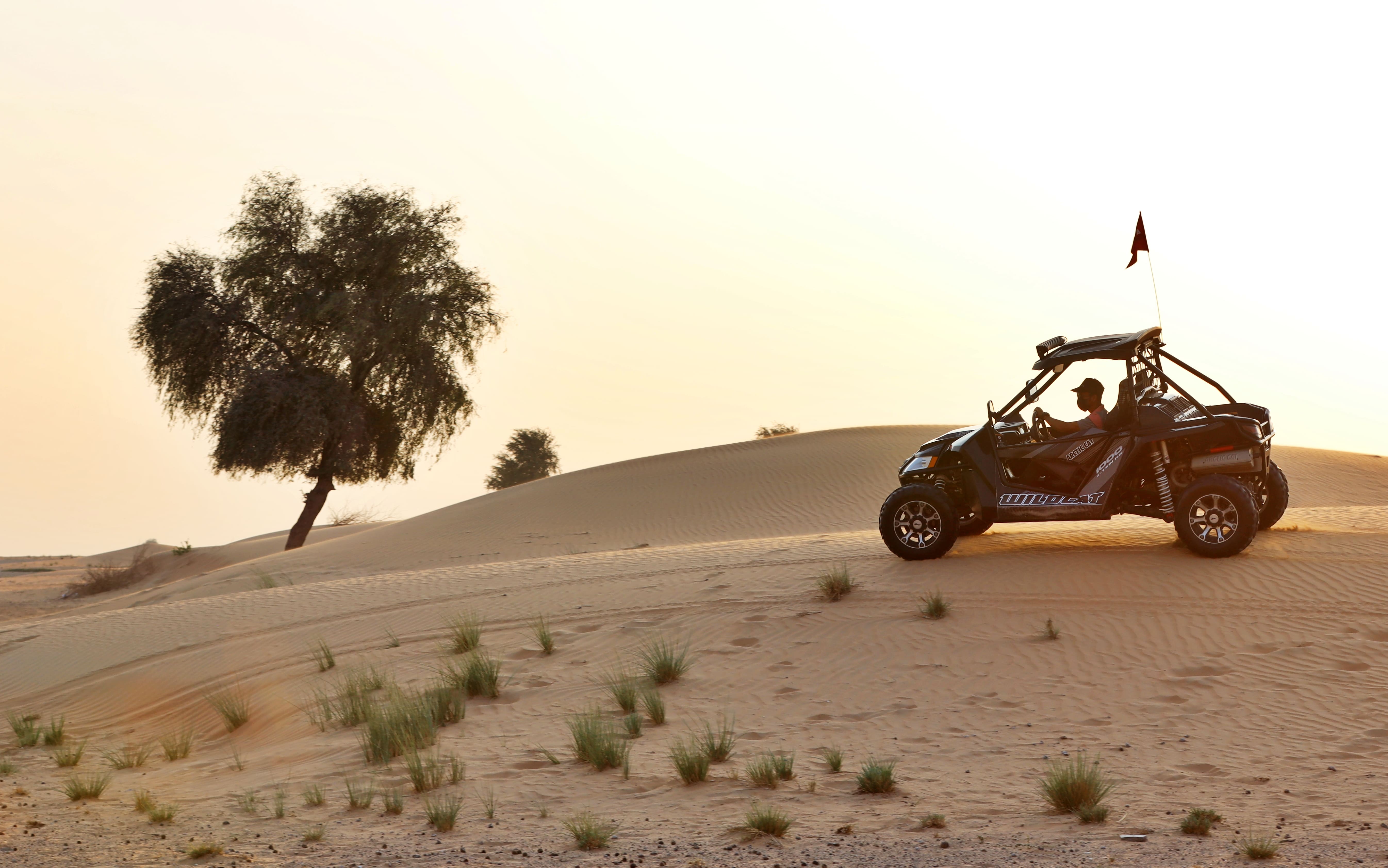 quad buggy safari